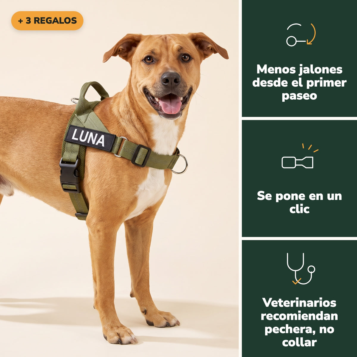 Perro con la pechera antitirones Andapaw verde olivo y parche bordado con su nombre, más 3 regalos