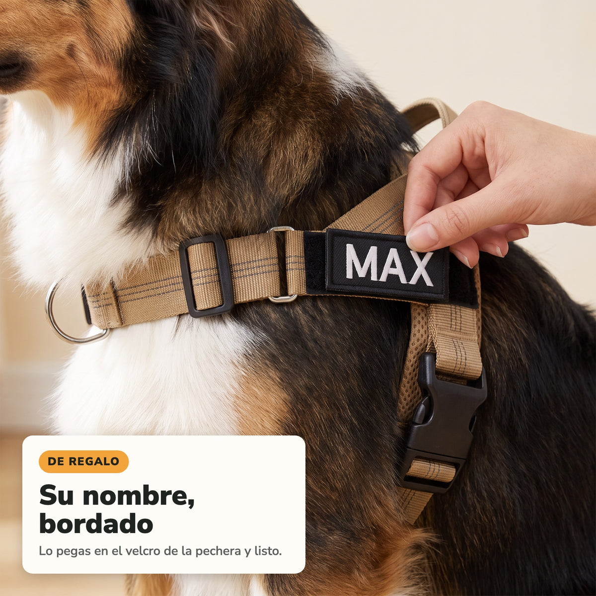 Parche bordado con el nombre del perro sobre el velcro de la pechera Andapaw