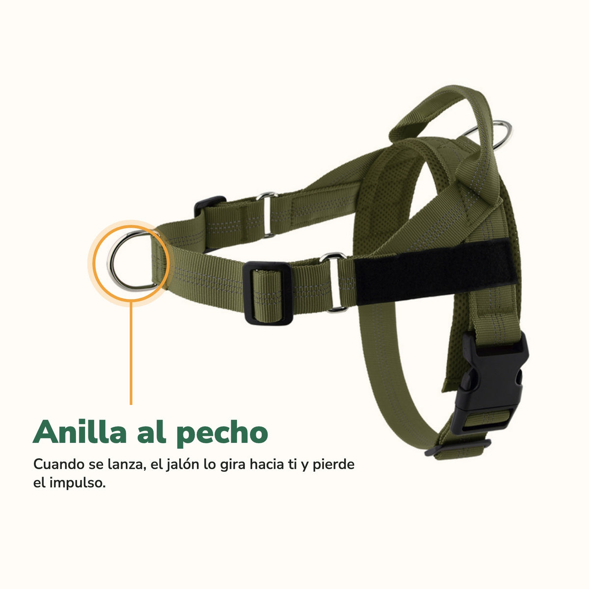 Anilla metálica al pecho de la pechera Andapaw
