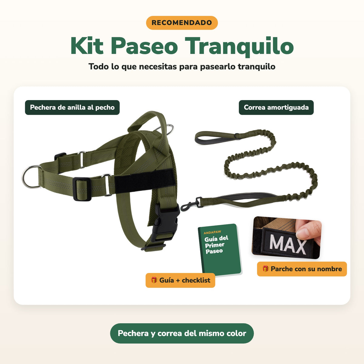 Kit Paseo Tranquilo: pechera de anilla al pecho, correa amortiguada, guía, checklist y parche con su nombre