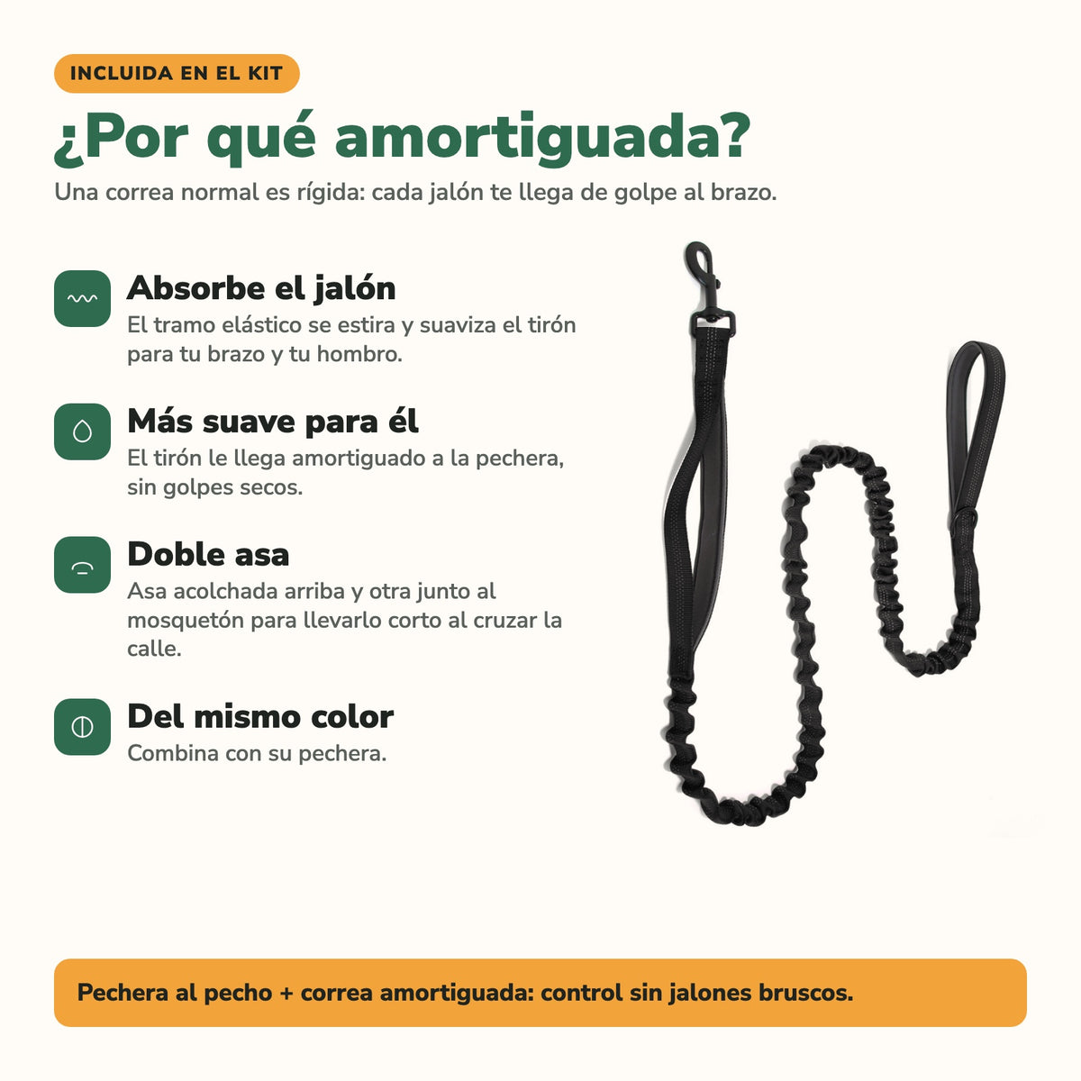 Por qué una correa amortiguada: absorbe el jalón, más suave para él, doble asa y del mismo color que la pechera