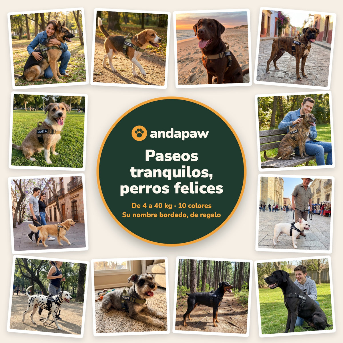Perros felices de todas las tallas con la pechera Andapaw: paseos tranquilos, de 4 a 40 kg, 10 colores